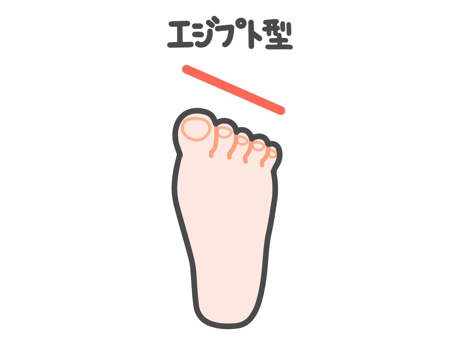 エジプト型の足に合う靴選びのコツ｜日本人に最も多い足型の特徴と痛みを防ぐ対策