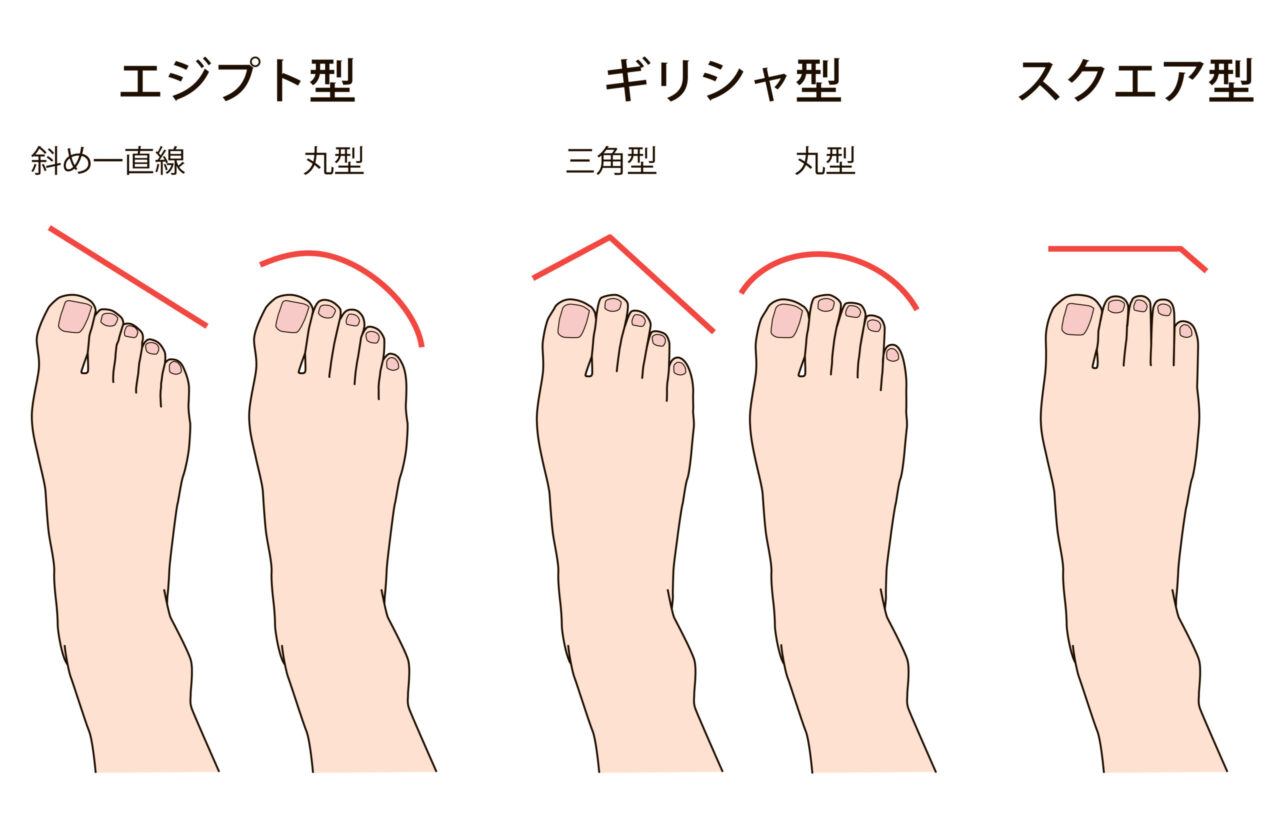 足形のタイプ：ギリシャ型