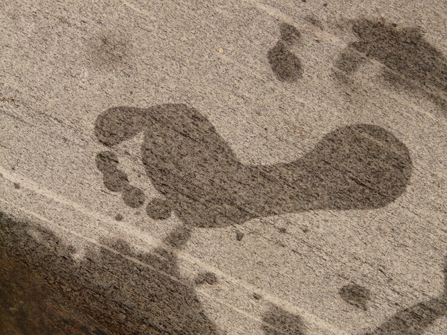 hans-footprint-3098_640 (1)