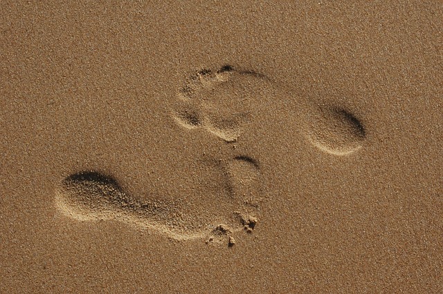 raparraga-fingerprint-506986_640