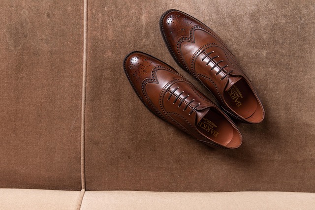 tylermike525-brogue-shoes-5983822_640