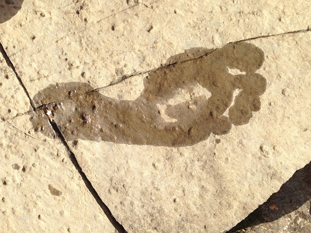 whereheleads730-footprint-648194_640
